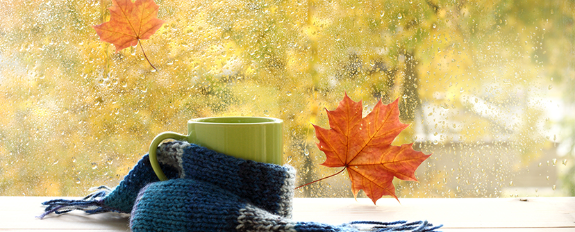 5 signs that you need to change your windows in the fall