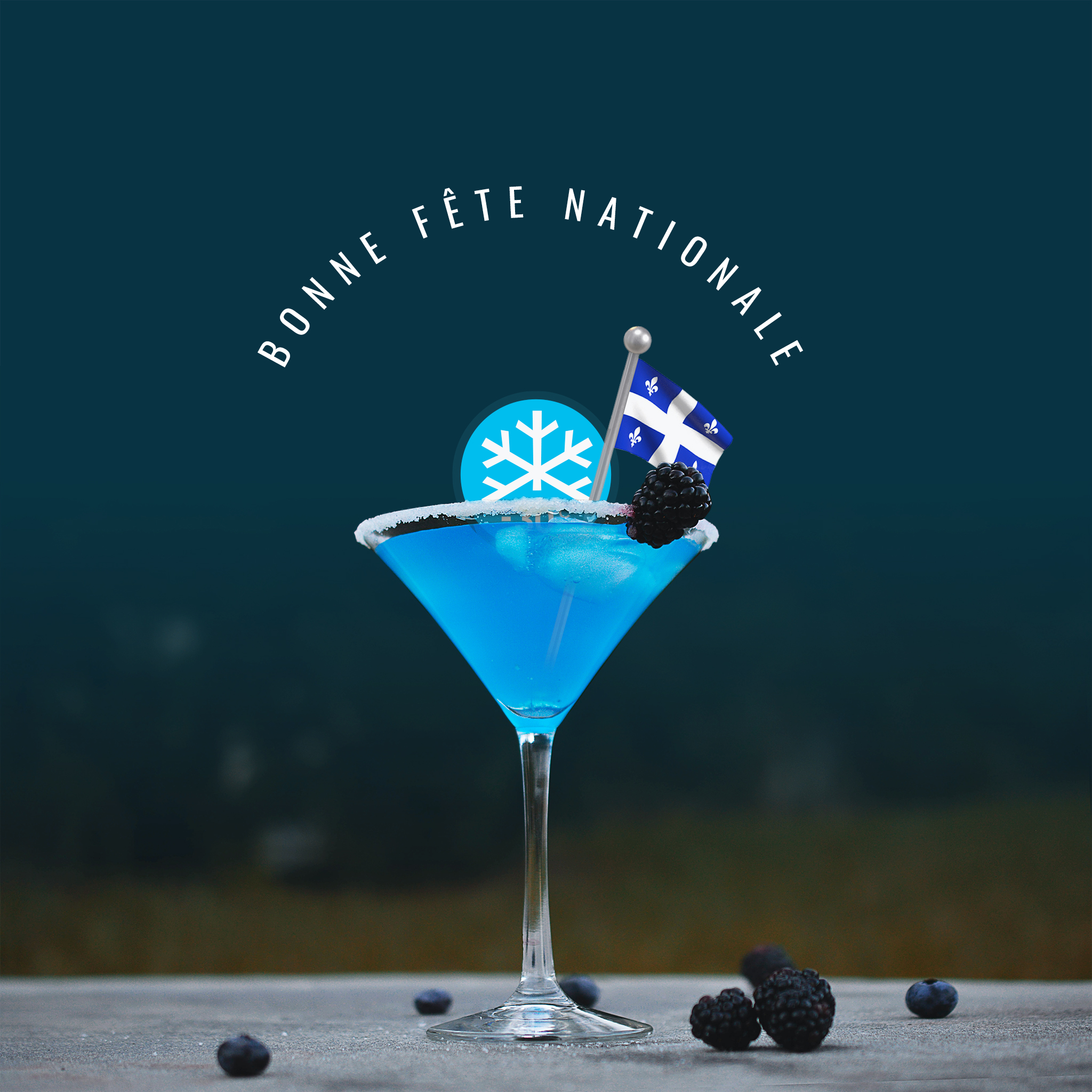 Bonne Fête Nationale à tous les Québécois.